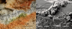 Secció d'una roca colonitzada per microorganismes criptoendolítics i detall al microscopi electrònic d'un fong Cryomyces en cristalls de quars. / S. Onofri et al.