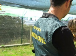 La Guardia Civil desarticula una xarxa criminal dedicada al tràfico ilegal de falcons