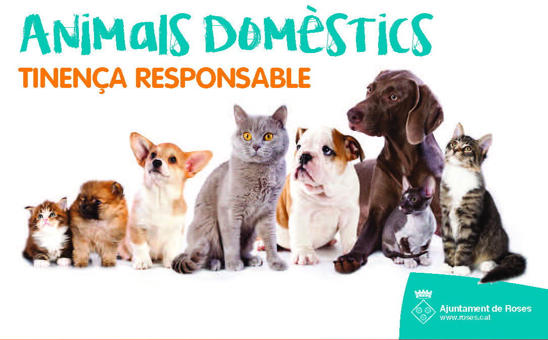 L’Ajuntament recomana l’adopció d’animals de companyia i una cura dels mateixos cívica i responsable