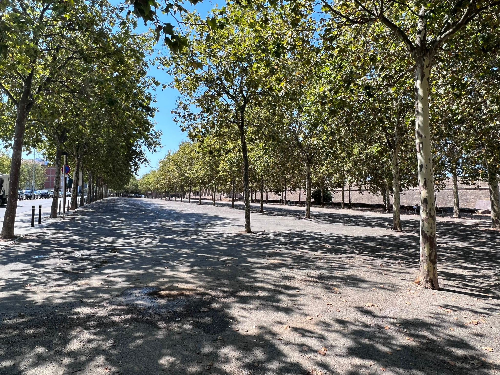 L’Ajuntament habilitarà un aparcament per a 200 vehicles darrera de les muralles des del 7 d’agost fins al 28 d’agost