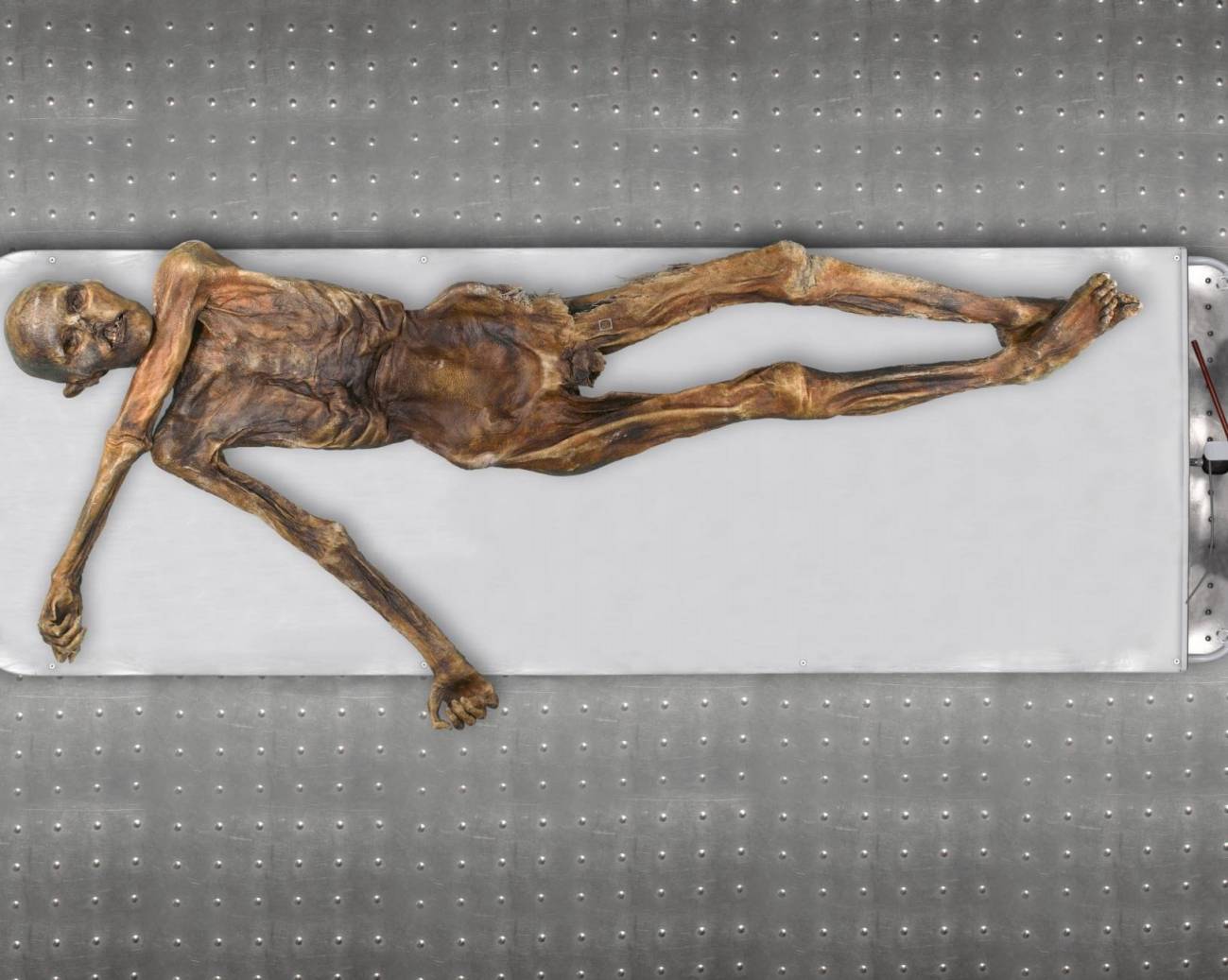 L’home de gel Ötzi era calb, de pell fosca i amb ascendència anatolia