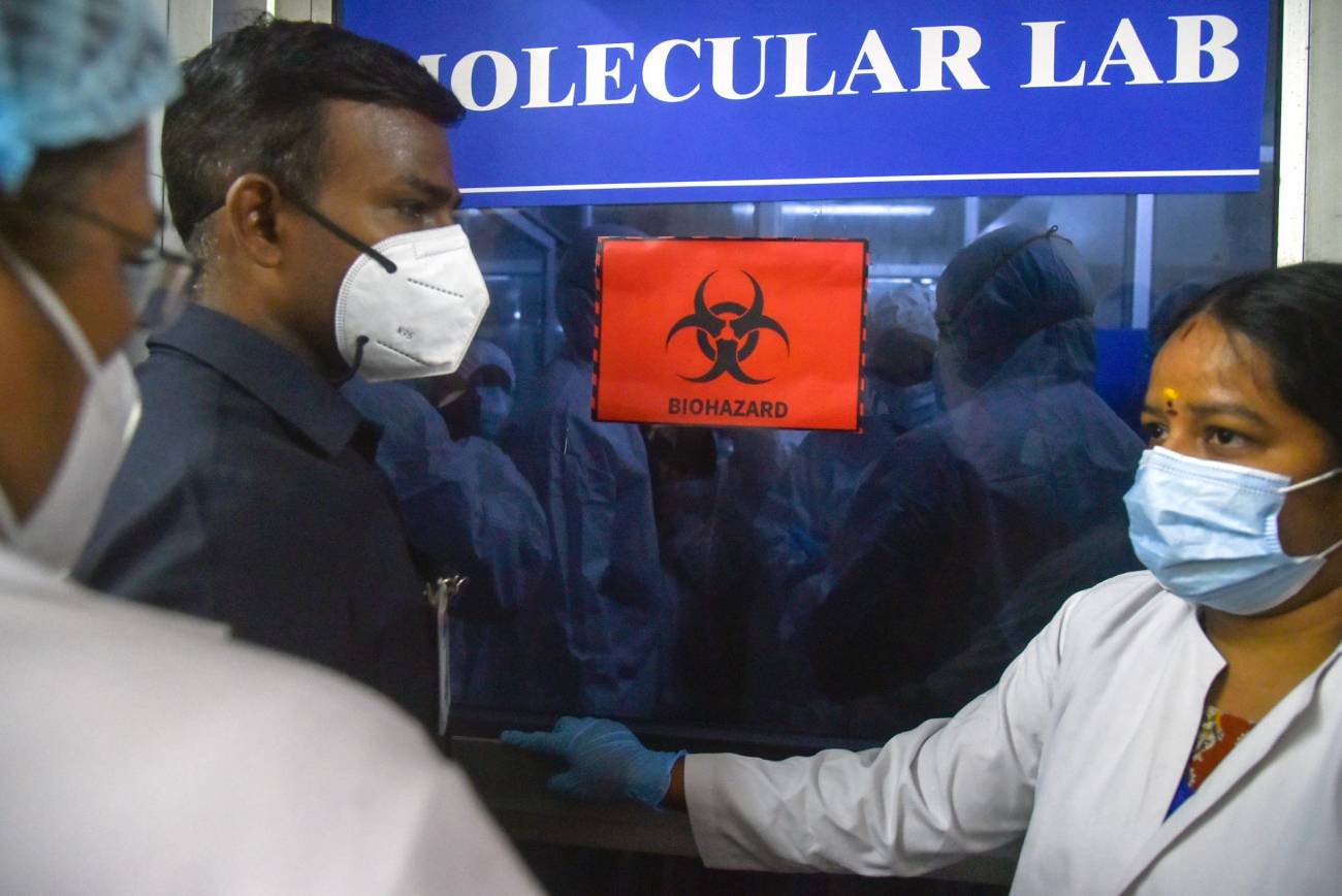 El brot de virus Nipah no suposa un risc rellevant per a la població espanyola