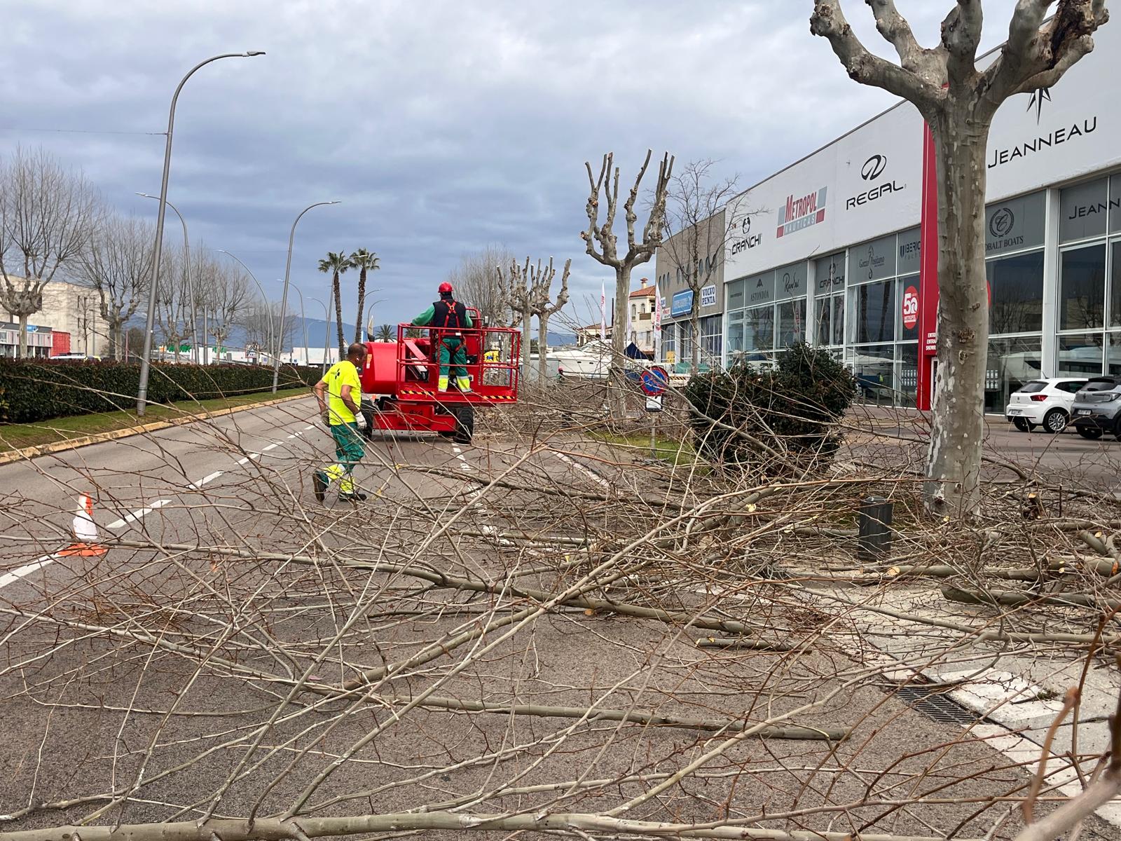 Castelló d’Empúries finalitza la campanya anual de poda de l’arbrat municipal