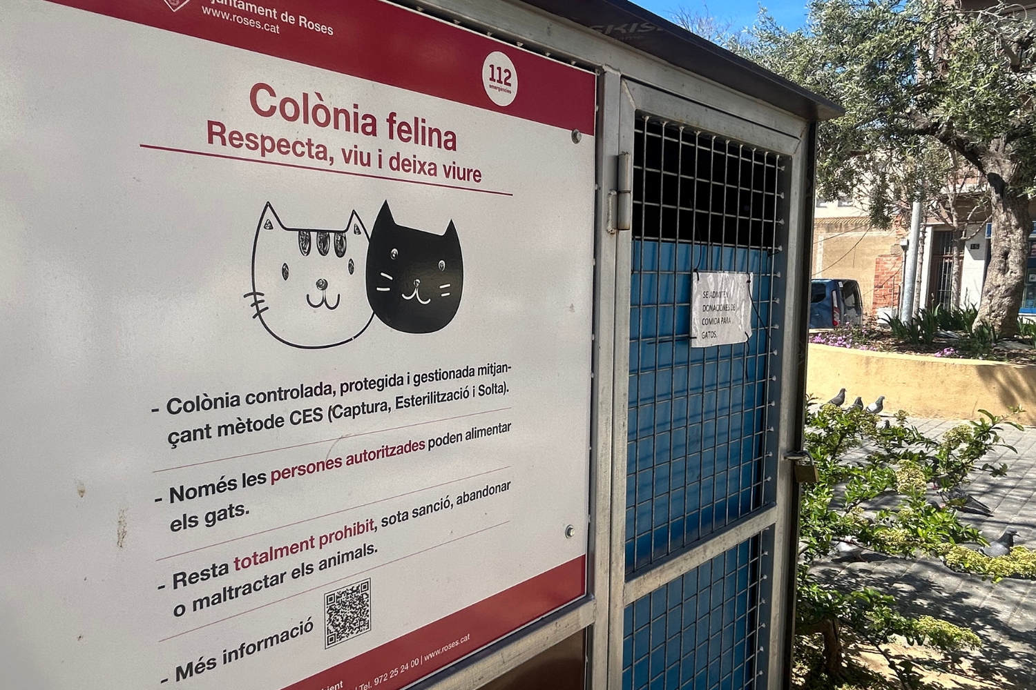 Roses reforça la gestió de colònies de gats amb 430 esterilitzacions i projectes de formació amb voluntaris