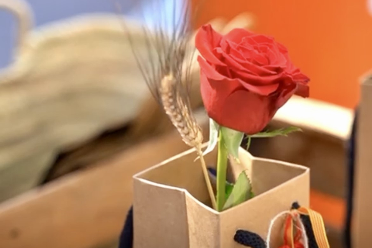 Roses celebrarà Sant Jordi amb parades de roses i llibres, sardanes, espectacle infantil i repartiment de roses