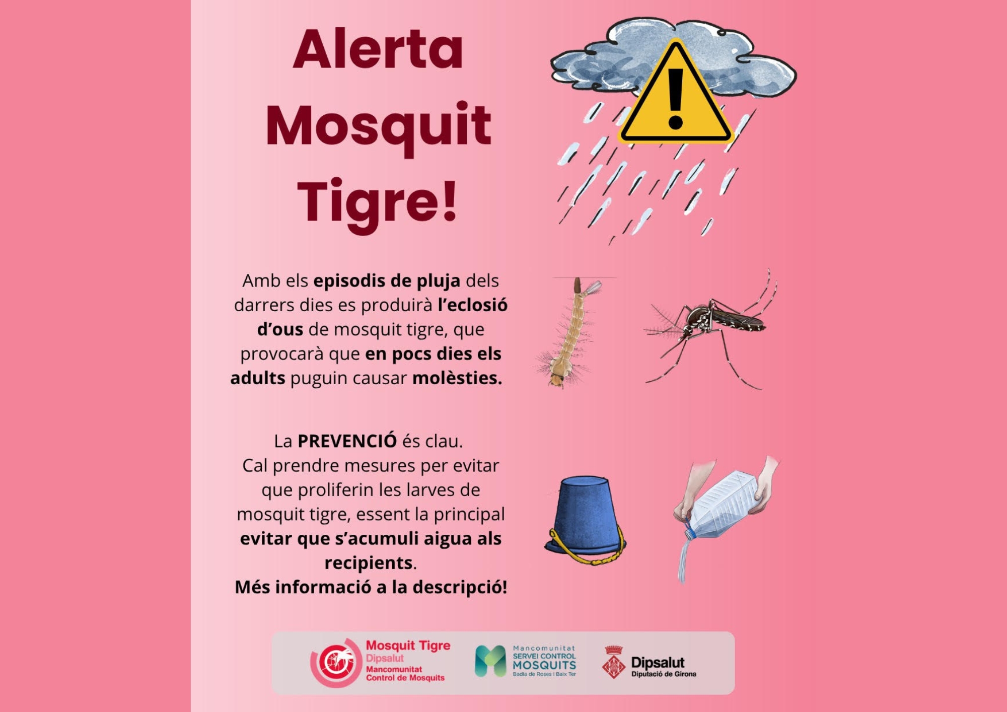 Alerta per possible emergència de mosquit tigre