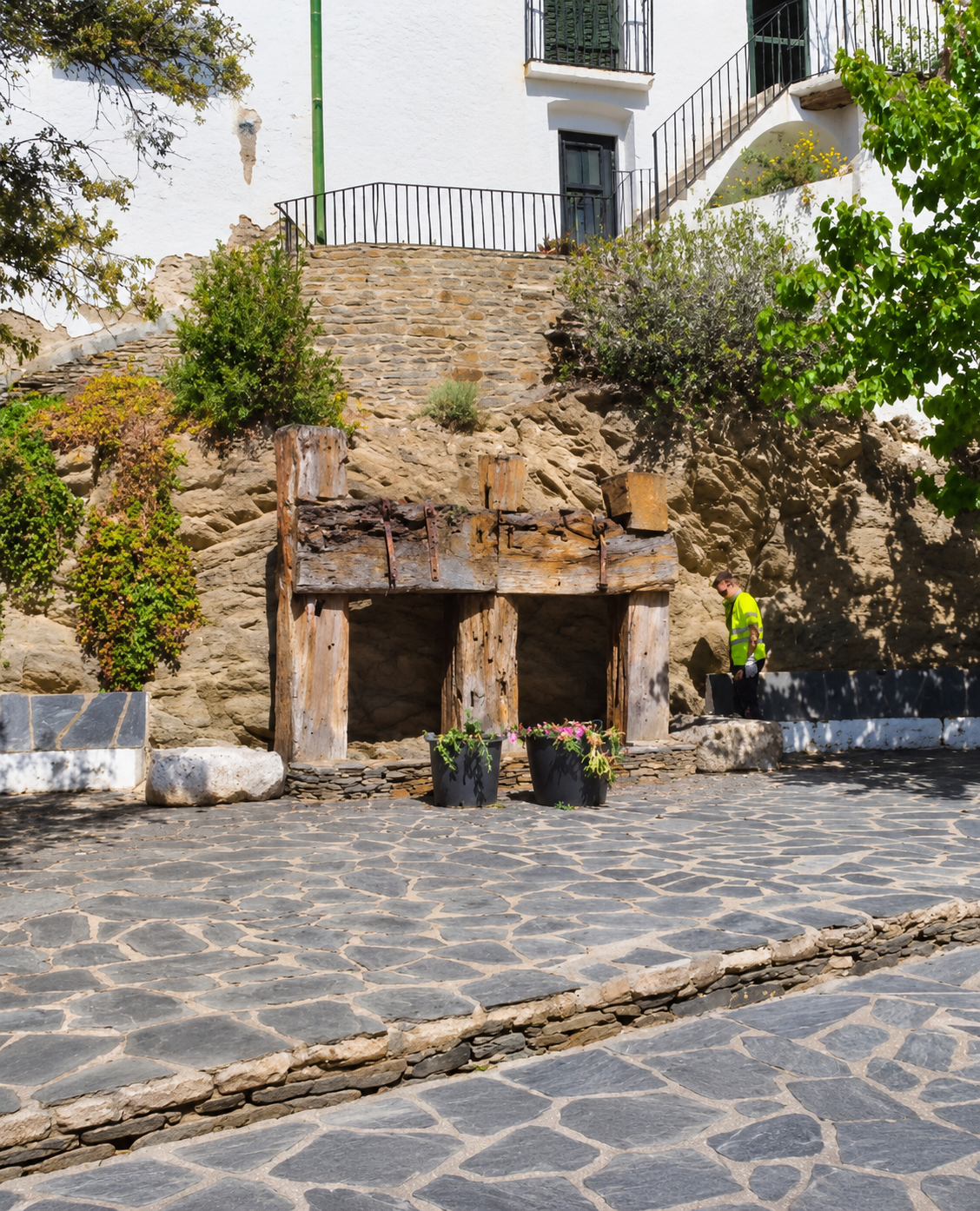 Cadaqués avança en l’eliminació d’espècies exòtiques invasores per protegir la biodiversitat