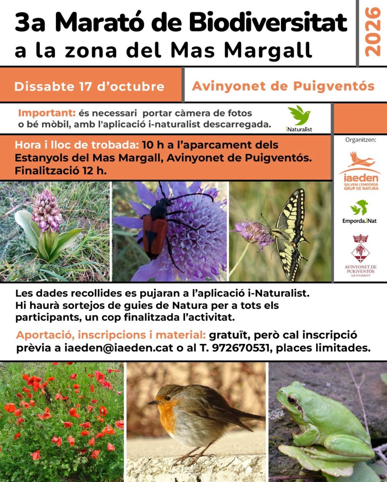 3a Marató de Biodiversitat a Avinyonet de Puigventós