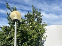 Carrer de la urbanització de Santa Margarida a Roses amb enllumenat públic