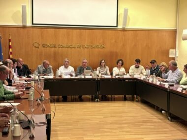 Ple del Consell Comarcal de l’Alt Empordà durant l’aprovació del pressupost