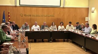 Ple del Consell Comarcal de l’Alt Empordà durant l’aprovació del pressupost